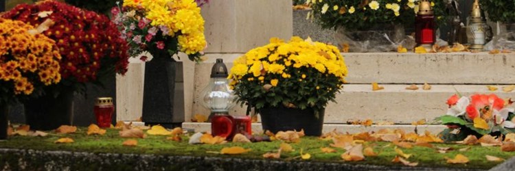 SVI SVETI 2025. VAŽNE OBAVIJESTI